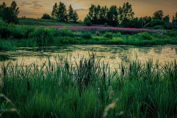 morning on the river