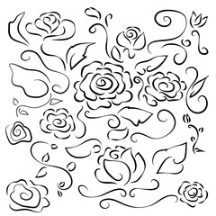 line drawing flowers rose with leafy branches
