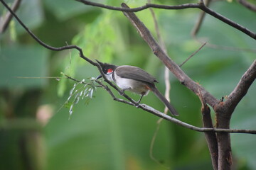 Beauty is in the eye of the believer 
