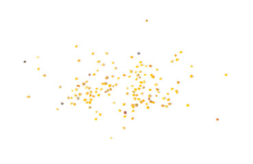 Bee Pollen, Perga, Flower Pollen Grains or Bee Bread