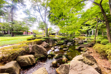 夏の日本庭園