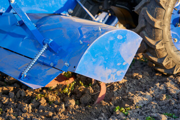 cultivation of a two-wheeled tractor close up,close up of cultivating land with a tractor on two...