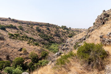 Fototapeta na wymiar Hills overgrown with dry grass and small trees in the Golan Heights in northern Israel