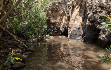 A small  reservoir between rocks on the shallow mountain river Jelabun with crystal clear water in the Golan Heights in northern Israel