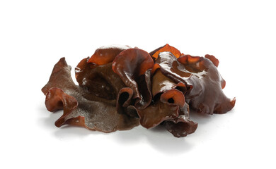Wet Black Fungus, Tree Ear or Wood Ear Mushroom Isolated