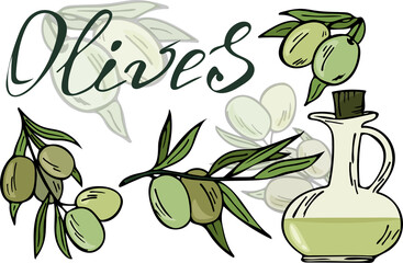 Hand drawn olives and olive oil, set. Vector