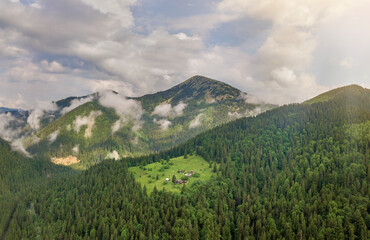 Obraz premium Aerial view of green Carpathian mountains covered with evergreen spruce pine foreston summer sunny day.