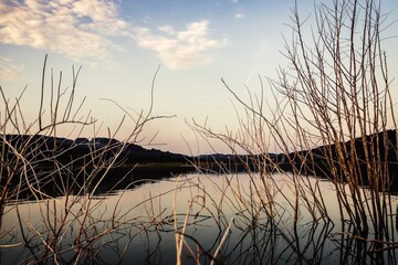 Beautiful evening on the lake Mucharz. Jezioro Mucharskie, Poland. Dry branches on a water background