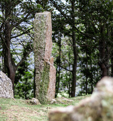Cromlech en una campa, con bosque al fondo