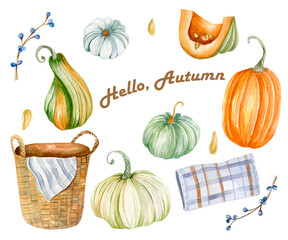 Watercolor illustration. Hand-drawn green, white, orange pumpkins, a slice of pumpkin, a wicker basket. Thanksgiving, autumn