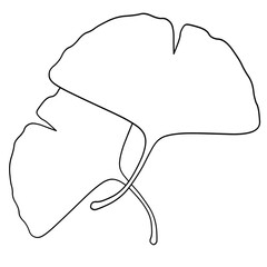 Fototapeta premium icon of Ginkgo Icho