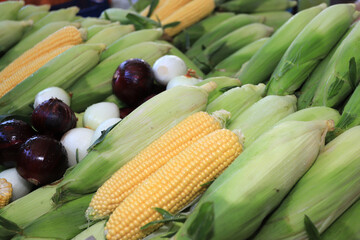 Colorful composition with raw corn, white and red onions.