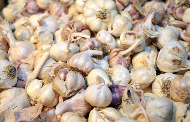 Garlic bulbs, full frame photo. Garlic bulbs pattern