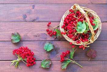 Ripe red berries of garden viburnum in a wicker basket on a wooden background. Autumn still life. Healthy organic foods. Flat lay, close-up, copy space, top view