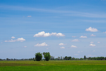 Green fields witch Cloud on sky background in day time, Naturel background