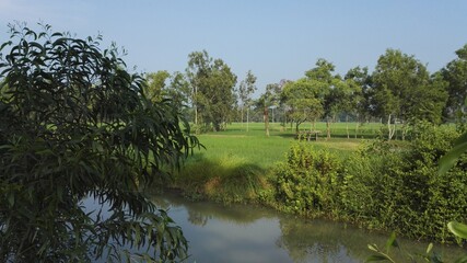 Fototapeta premium A warm morning at my village