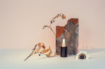 Cosmetic in a dark glass bottles, old brick, dry plants.Beige fabric background. Wabi sabi concept