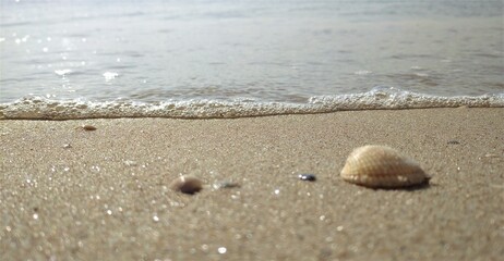 Sandy seashore