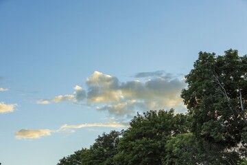 Beautiful view of cloudy sky over tops of and trees. Gorgeous natural backgrounds.