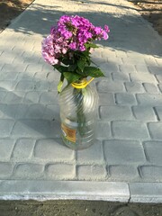 vase with flowers