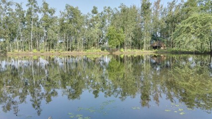 A warm morning at my village