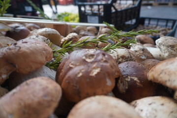 Mushroom Porcini, Boletus edulis.
Centro Agroalimentare di Roma
Market.
Mercati Generali Evolution.
Healthy
Rome
Italy