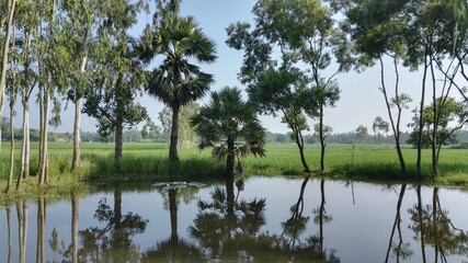 A warm morning at my village