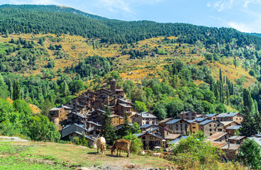 Os de Civís, Catalonia / Spain: Two cows grazing with the village in the background