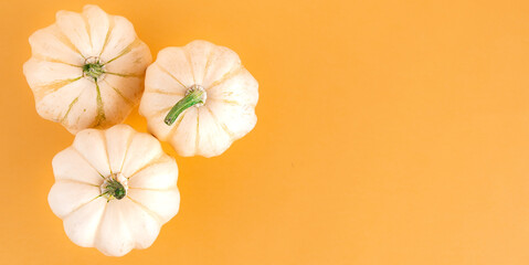 White pumpkin on an orange background with space for text. Creative layout, top view. Autumn festive template.