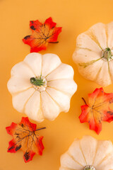 Autumn still life with three white pumpkins and bright maple leaves on a pastel orange background. Copy space for text.Template for your design, invitation, greeting card.