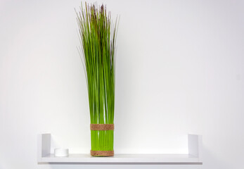 green decor on the shelf on a white wall in a minimalist style