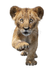 Obraz na płótnie Canvas 3D illustration of lion cub