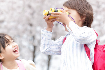 Obraz premium お花見する子供
