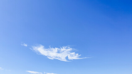 Naklejka na ściany i meble Blue sky with clouds, flying birds and green branches. The cloud in the saw fish shapes.