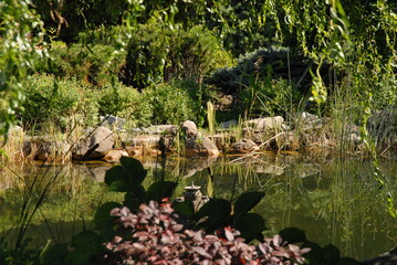 green forest in summer