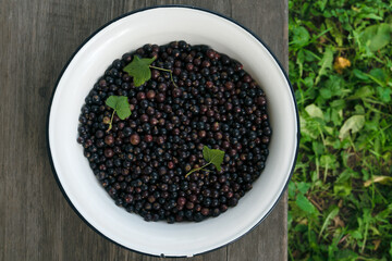 Blackcurrants in a bowl on a garden table, top view