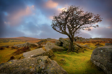 saddle tor in dartmoor national park devon england uk at sunset © pbnash1964