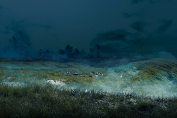 Meadow