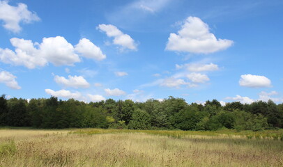 Paesaggio naturale di campagna in una giornata nuvolosa