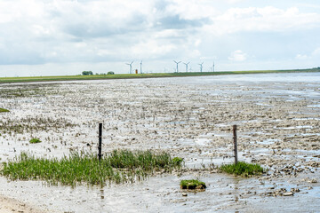 view on the wadden sea at low tide at the dike of east frisia, north sea