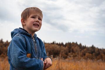 Autumn portrait of a little sad boy looking sadly at the sky at the birds flying away . Emotional...
