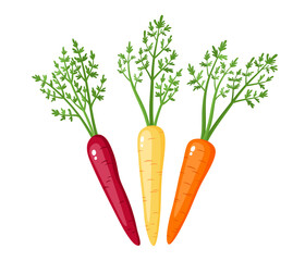 Bright vector collection of colorful carrots - yellow, orange, purple