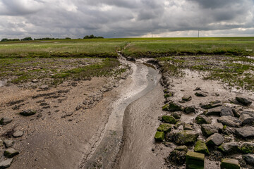 Fototapeta na wymiar beatiful landscape at the wadden sea with grass and water trickles at north sea
