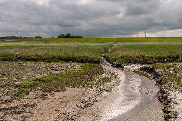 beatiful landscape at the wadden sea with grass and water trickles at north sea