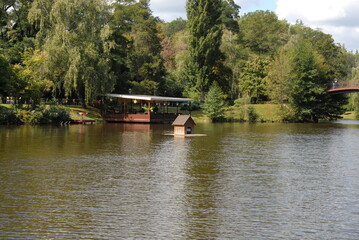 Fototapeta premium lake in the park