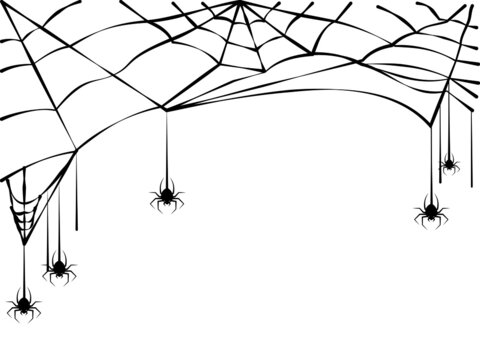 spider and torn web. Scary spiderweb of halloween symbol. Isolated on white background.