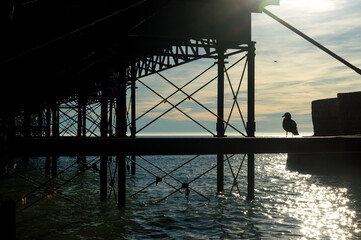 under the bridge at sunset