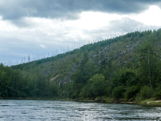 mountain river and mountains covered with forest