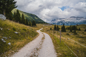 Fototapeta na wymiar Altopiano del Montasio, Friuli Venezia Giulia, Italy. Scenic mountain road in the Alps
