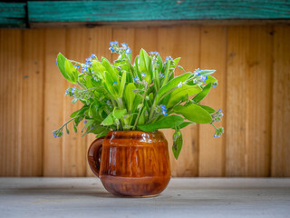 Bouquet of blue forget-me-nots in a vase on a table and wooden wall as background. Myosotis flowers with green leafs in a ceramic pot. Cozy rustic decor, selected focus.